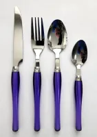 24 Pc Purple Plastic Handle Stainless Steel Flatware Set