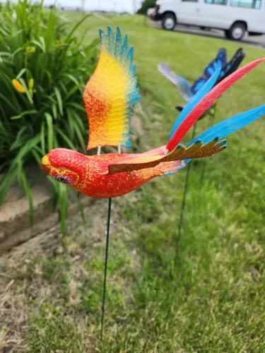 8" Parrot Garden Stake