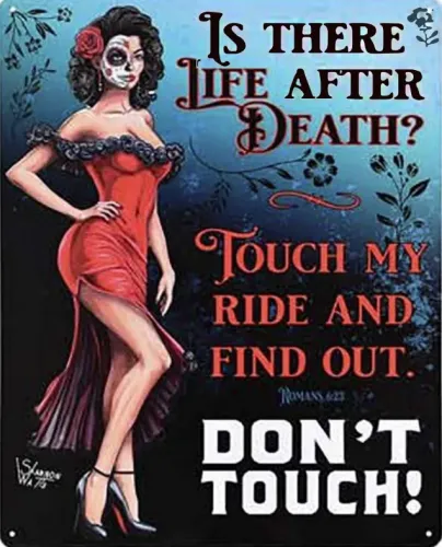 12x15 Metal Sign Don't Touch My Ride