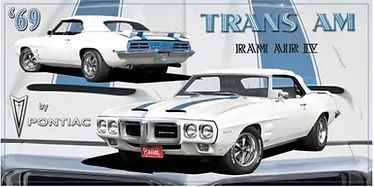 19x9.5 Metal Sign "69 Trans Am"