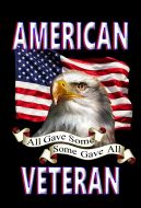 8x12 Metal Sign: American Veteran