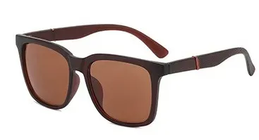 Novelty Eyewear: Brown Plastic 